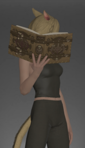 Leather Grimoire outside.png