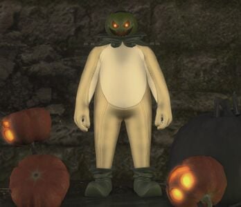 Curious Costume with a Pumpkin hat