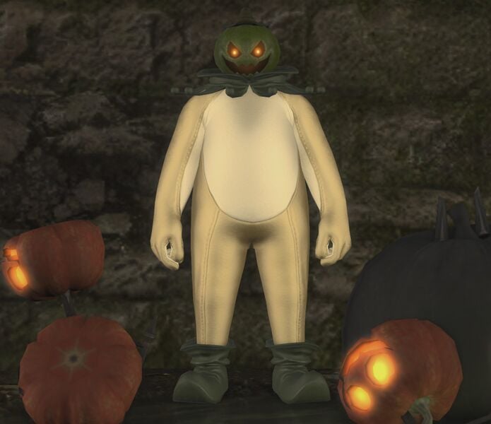 File:Curious Costume (Pumpkin) fullbody.jpg