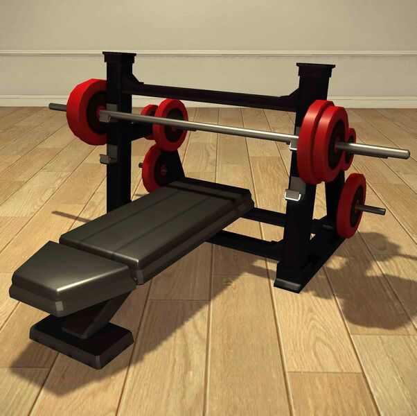 File:Training Bench.jpeg