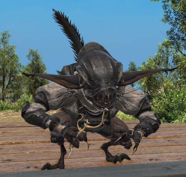 File:426th Order Bedesman.jpg