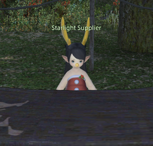 Starlight Supplier (2024)