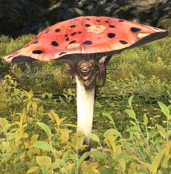 File:Stumbling Funguar still.jpg