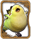 Fat Chocobo Card