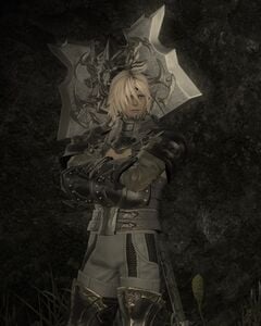 Hired Marauder