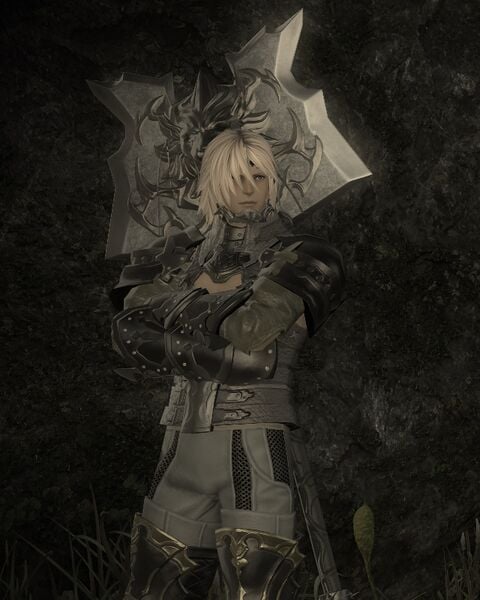 File:Hired Marauder.jpg