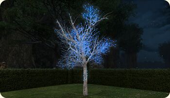 Illuminated Tree.jpg