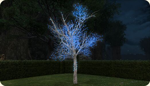 Illuminated Tree