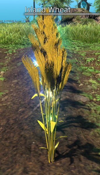File:Island Wheat Mature.png