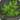 Rarefied thavnairian perilla leaf icon1.png
