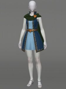 Carwen Tunic