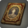 Season eight gold framers kit icon1.png