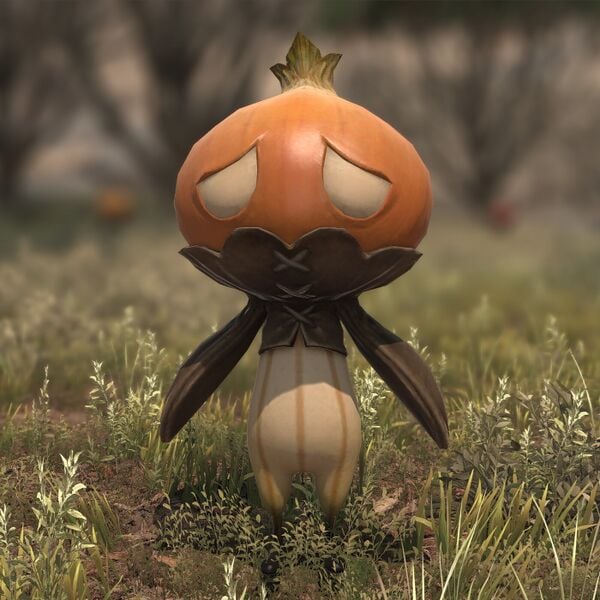 File:Crescent Onion.jpeg