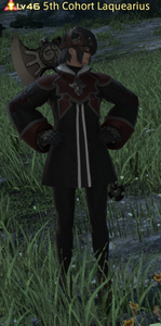 5th Cohort Laquearius