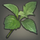 Fine fibrous plants icon1.png