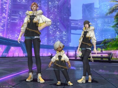 Neo Citizen's Hooded Tunic - Final Fantasy XIV Online Wiki - FFXIV ...