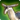 Antelope doe icon1.png