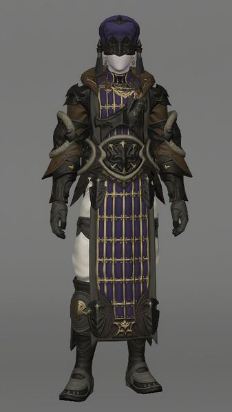 File:Ishgardian Outrider's Attire Male.jpeg