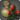 Tulip bulbs icon1.png