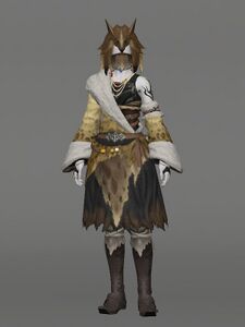 Woad Skywarrior's Attire
