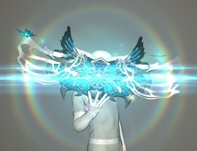 The Fae's Crown Codex