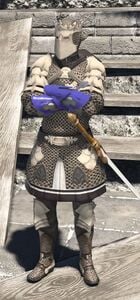 Punctilious Temple Knight