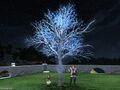 Authentic Illuminated Tree image2.jpg