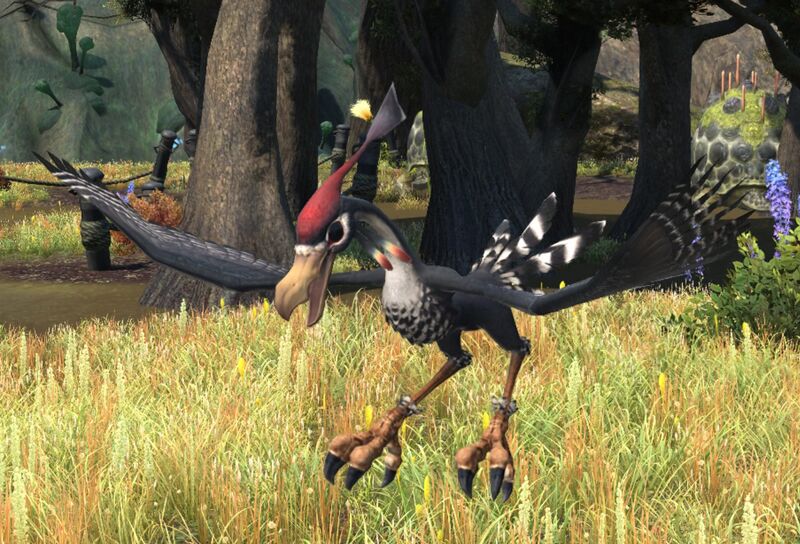 File:Craven Condor.jpg