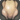 Young dodo roaster icon1.png