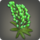 Green lupin corsage icon1.png