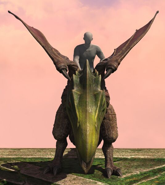 File:Alexandrian Axe Beak front.jpg