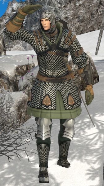 File:House Haillenarte Guard fullbody.jpg