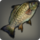 Mirror carp icon1.png