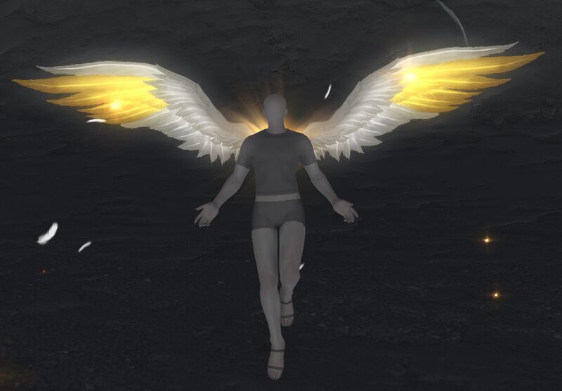 File:Wings of Legacy.jpg