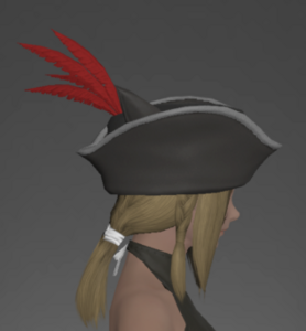 Tricorne of the Daring Duelist right side.png