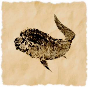 Dinichthys