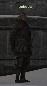 Ludovoix