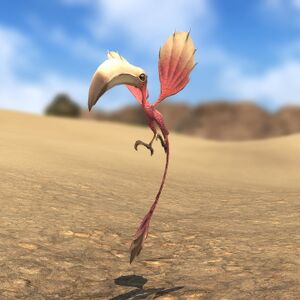 Colibri