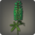 Green lupins icon1.png