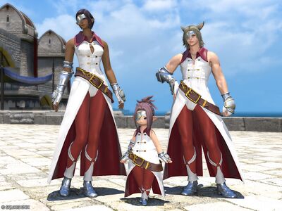 Battlefield Rose's Attire - Final Fantasy XIV Online Wiki - FFXIV ...