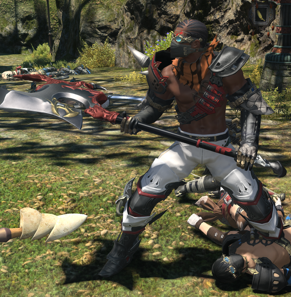 File:Head Bandit 1.png
