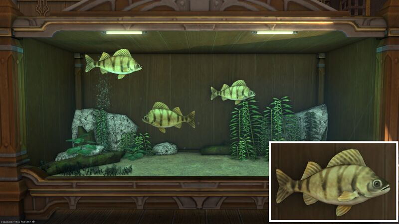 File:Aquarium Preview High Perch.jpg