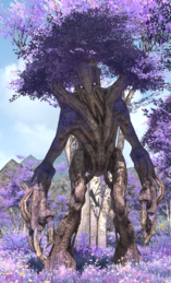 Elder Triffid.png