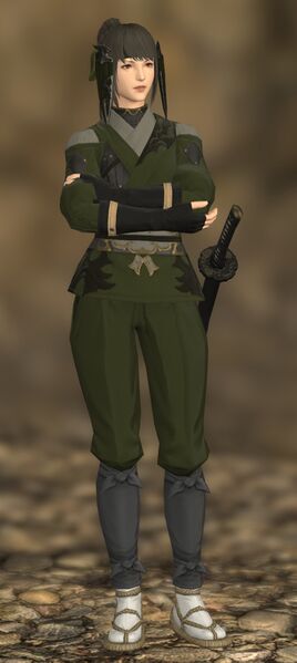 File:Sharp-eyed Samurai fullbody.jpg