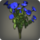 Blue morning glories icon1.png