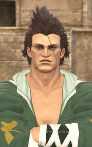 Middle-aged Highlander