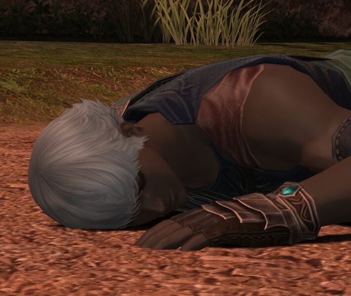 File:Collapsed Hyur.jpg