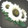 White sunflower corsage icon1.png