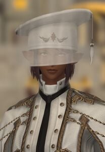 Outspoken Councilor