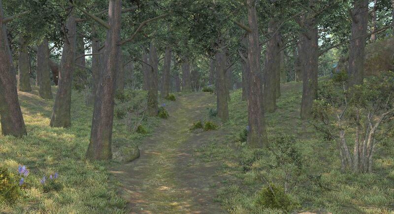 File:Silent Arbor.jpg